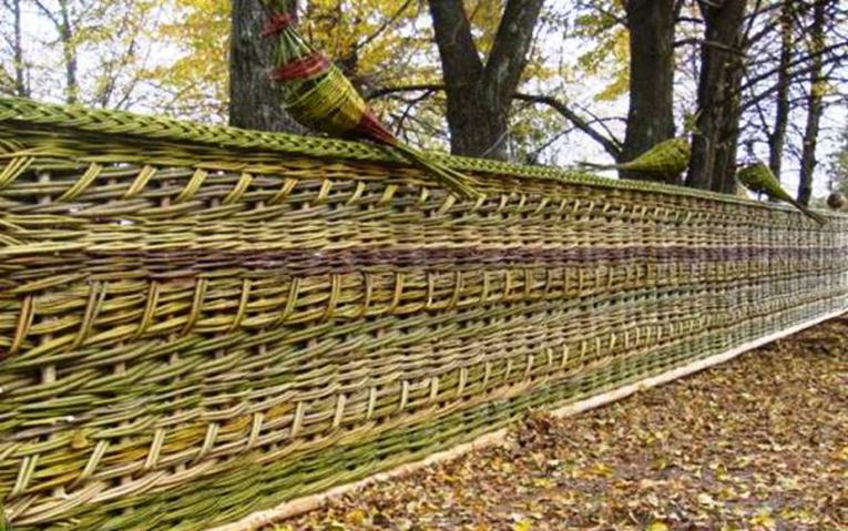 Забор из веток: как плести плетень из прутьев орешника