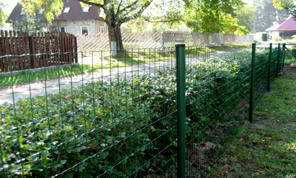 Садовый забор